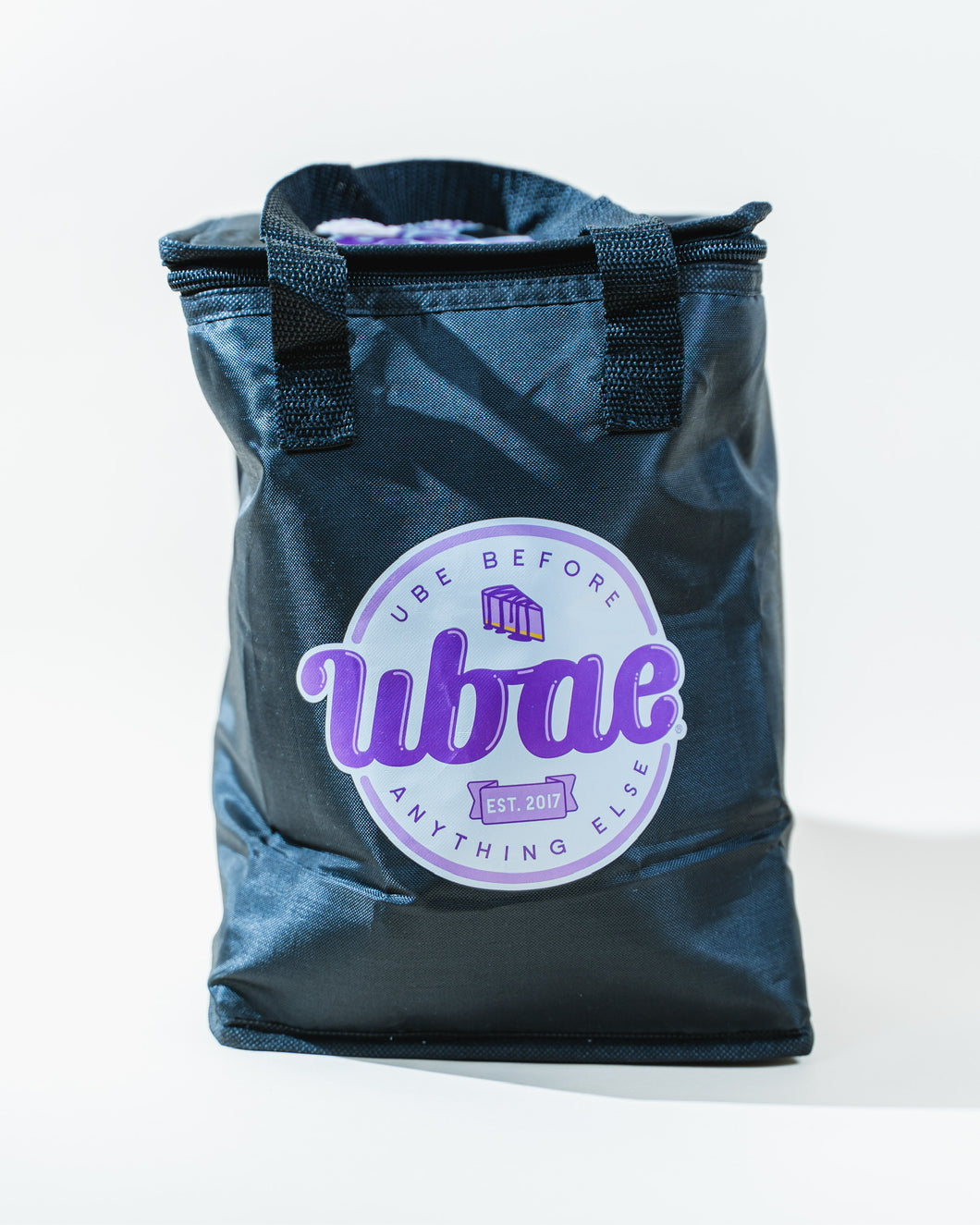 Insulated Cooler Bag